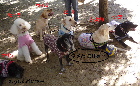 d0282395_225102.png