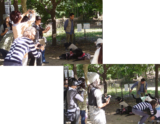 d0282395_22535125.png