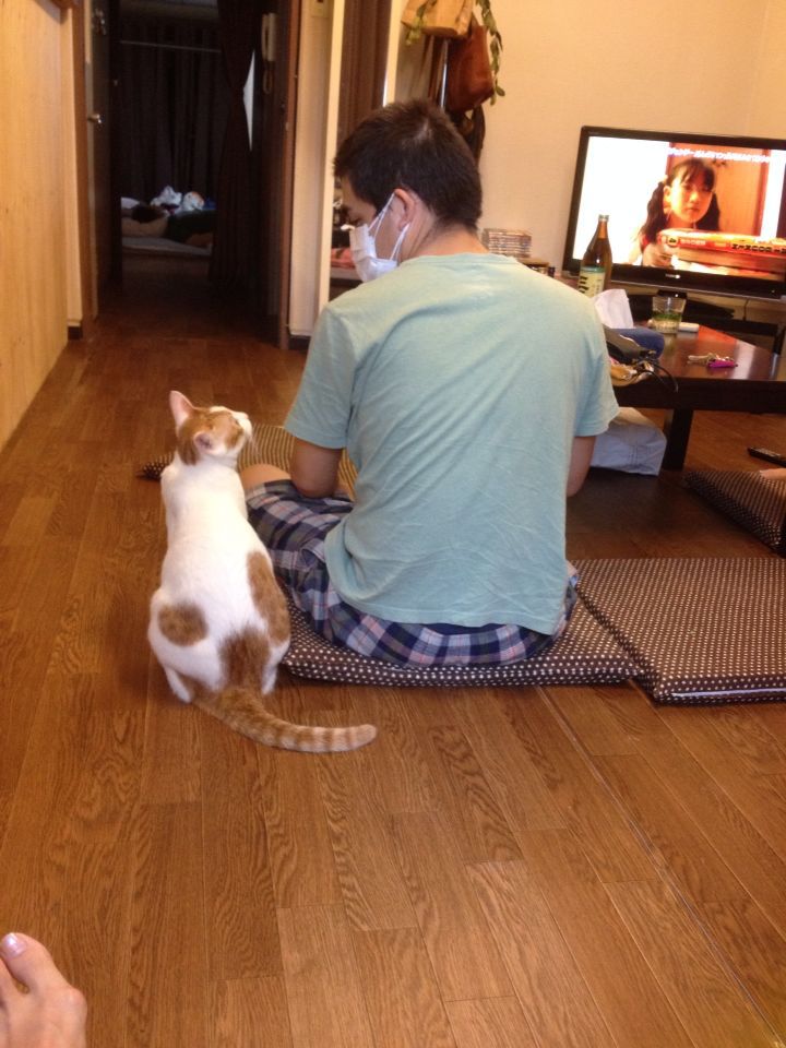 旅で出会った猫たち(きゃつら)_f0223097_1823385.jpg