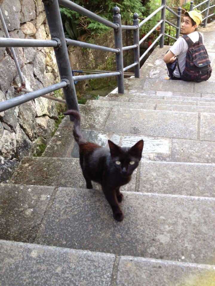 旅で出会った猫たち(きゃつら)_f0223097_1824575.jpg
