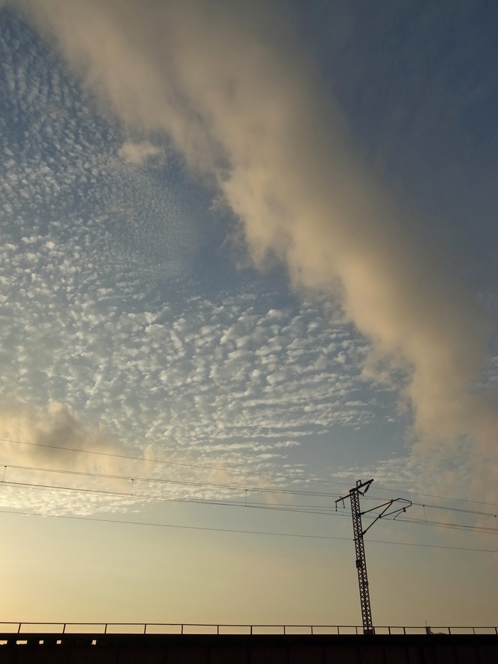 c0049299_22131475.jpg