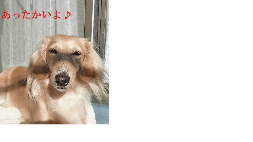 f0178701_9313480.png