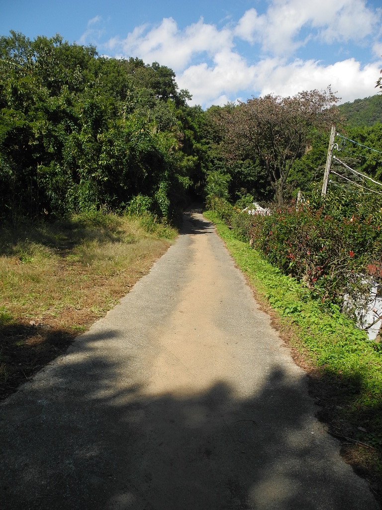 a0158802_13313679.jpg