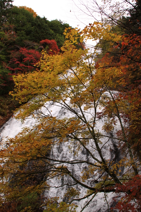 d0248502_19452511.jpg