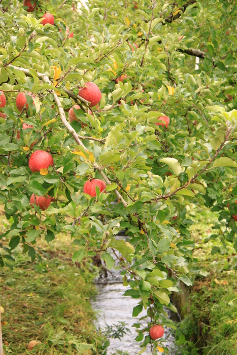 d0248502_7159.jpg