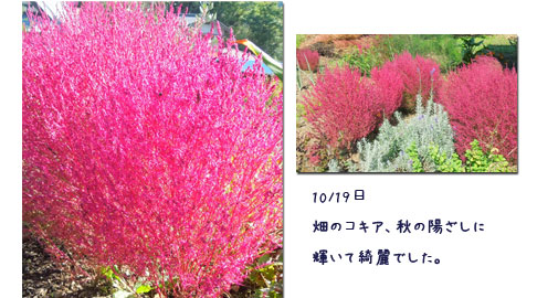何気なく_c0051105_1434558.jpg