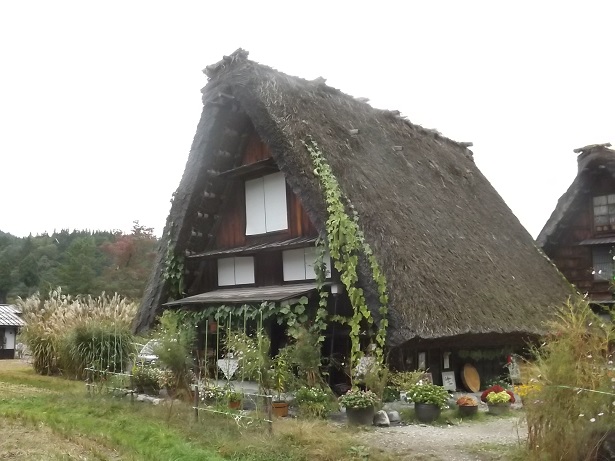 d0140806_6325596.jpg