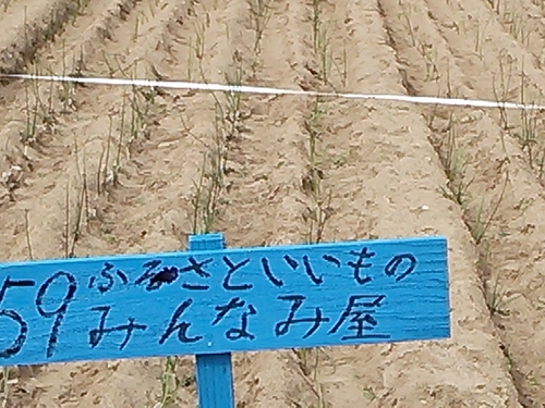 d0230507_814579.jpg