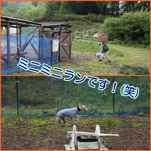 雨の中の・・・ヘブンス園原！(；^▼^；)_e0100007_8532624.jpg