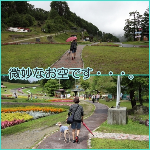 雨の中の・・・ヘブンス園原！(；^▼^；)_e0100007_853346.jpg