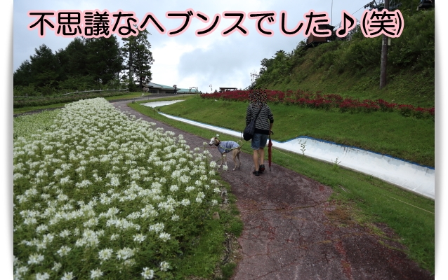 雨の中の・・・ヘブンス園原！(；^▼^；)_e0100007_8541322.jpg