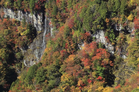 b0229909_8541641.jpg