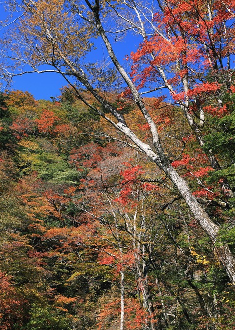 b0229909_854372.jpg