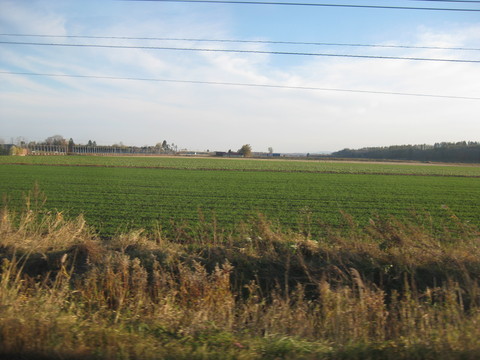 b0183111_23523291.jpg