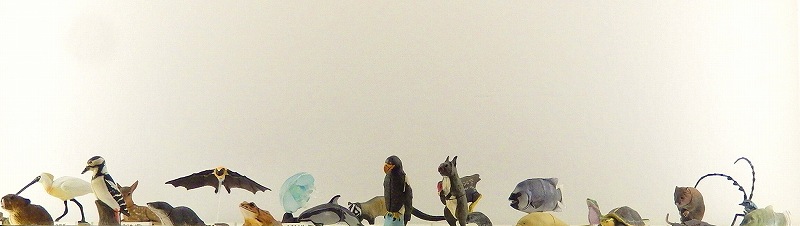 f0182513_2303732.jpg
