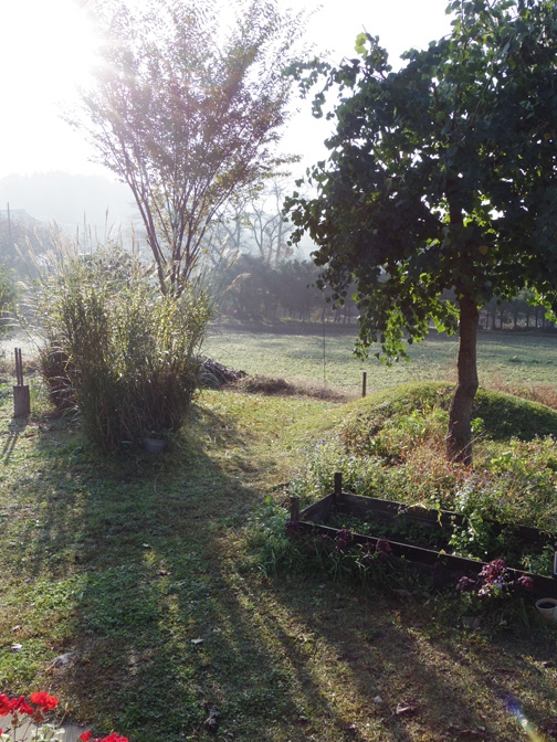 a0193314_08222629.jpg