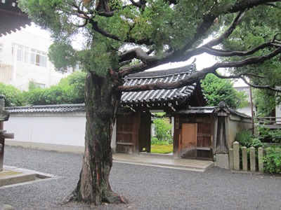 ひとつきののち_a0254818_1583422.jpg