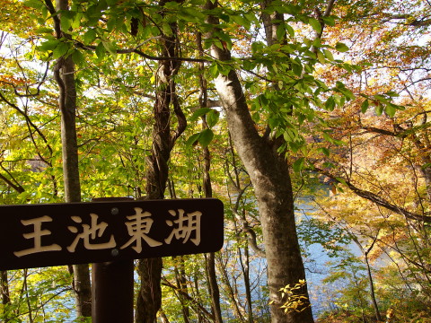 紅葉の十二湖(深浦町)*2014.10.25_b0147224_23124510.jpg