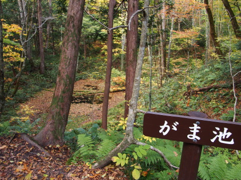 紅葉の十二湖(深浦町)*2014.10.25_b0147224_23245775.jpg