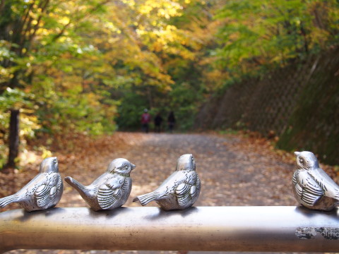 紅葉の十二湖(深浦町)*2014.10.25_b0147224_2329402.jpg