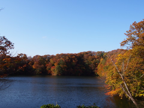 紅葉の十二湖(深浦町)*2014.10.25_b0147224_23562734.jpg