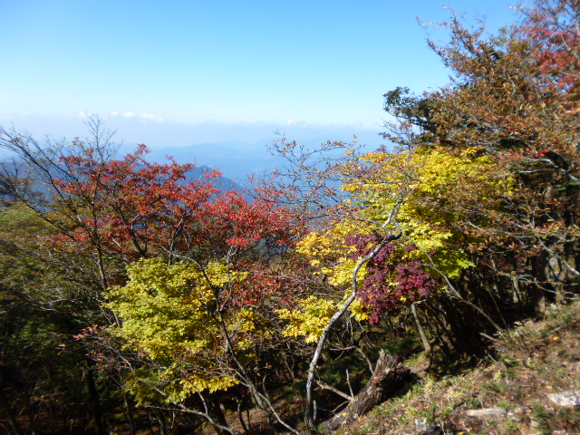 a0220528_0592130.jpg