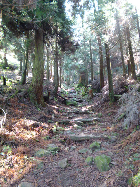 a0220528_12729.jpg