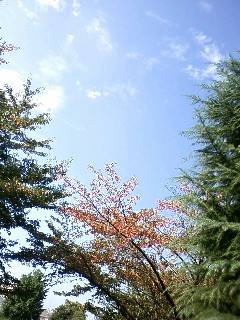 f0070628_23134645.jpg