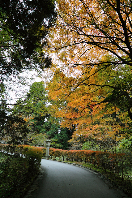 紅葉の比叡山 －延暦寺・西塔（にない堂、釈迦堂）－_b0169330_17434056.jpg