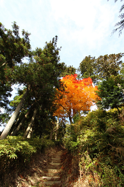 紅葉の比叡山 －延暦寺・西塔（にない堂、釈迦堂）－_b0169330_1755048.jpg