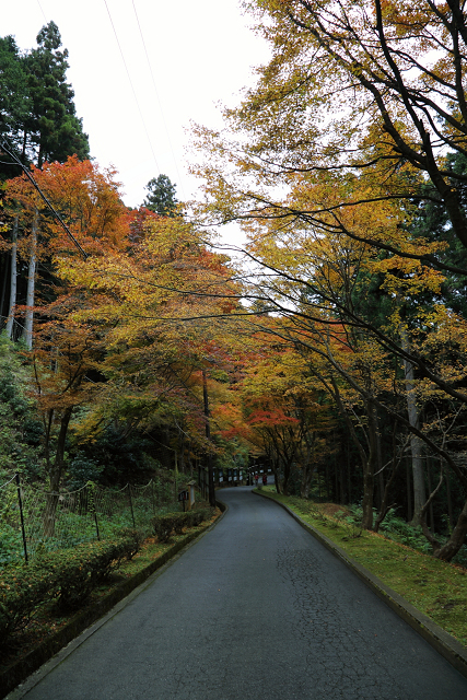 紅葉の比叡山 －延暦寺・横川（横川中堂・前編）－_b0169330_1758478.jpg