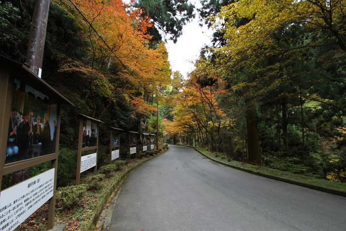 紅葉の比叡山 －延暦寺・横川（横川中堂・前編）－_b0169330_23181733.jpg