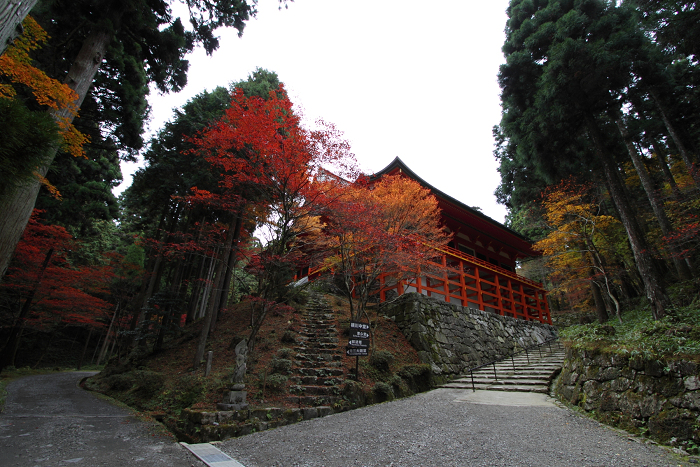 紅葉の比叡山 －延暦寺・横川（横川中堂・前編）－_b0169330_23183634.jpg