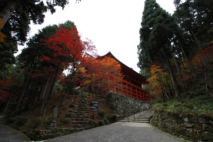 紅葉の比叡山 －延暦寺・横川（横川中堂・前編）－_b0169330_23184318.jpg
