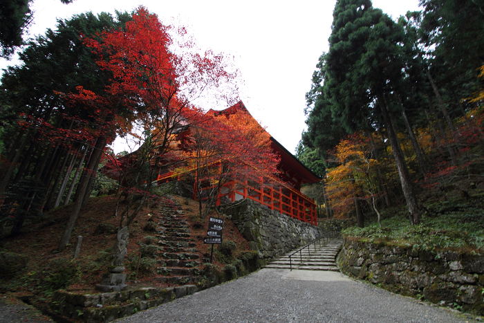 紅葉の比叡山 －延暦寺・横川（横川中堂・前編）－_b0169330_23185716.jpg