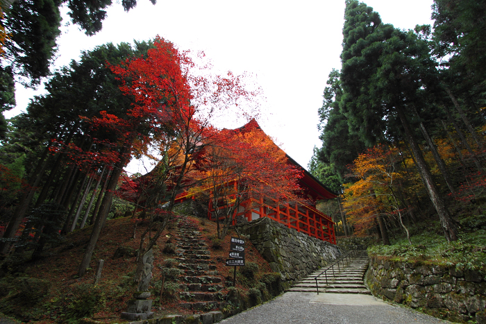 紅葉の比叡山 －延暦寺・横川（横川中堂・前編）－_b0169330_23235096.jpg