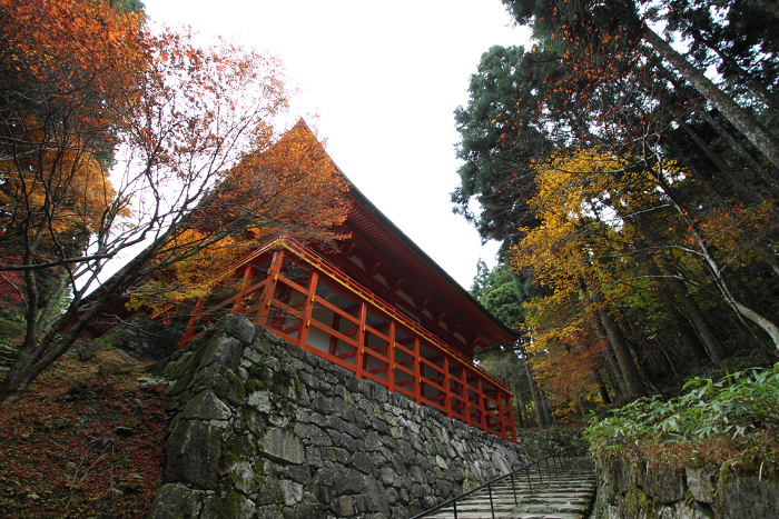 紅葉の比叡山 －延暦寺・横川（横川中堂・前編）－_b0169330_2324733.jpg