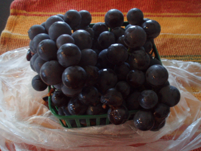 コンコルド種の葡萄のジュース_e0177330_705693.jpg