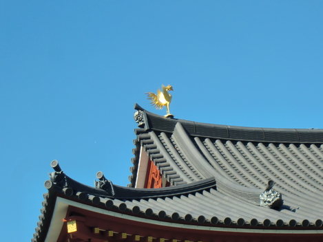 c0236632_824234.jpg