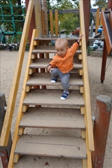 f0224632_8353012.jpg