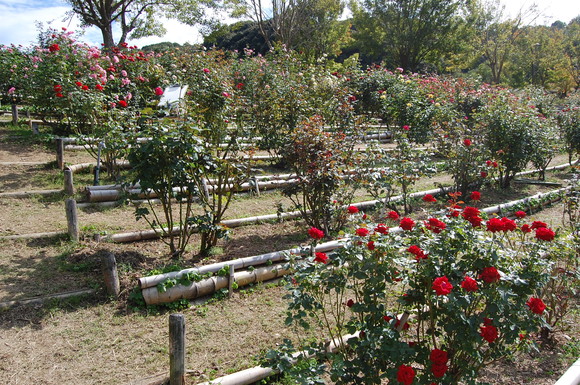b0238135_18241946.jpg