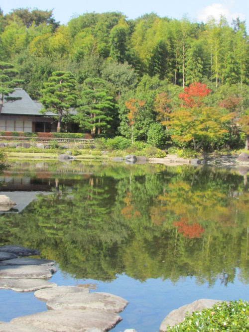 １０月２５日　　台風の影響でしょうか紅葉がいまいちです。_f0117041_1619641.jpg