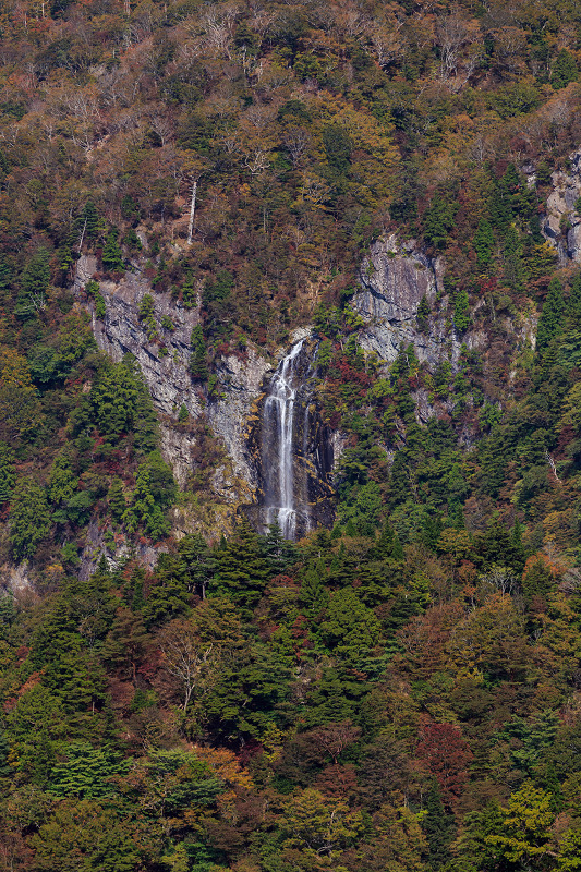 大台ケ原・大蛇嵓の錦(牛石ヶ原~大蛇嵓・蒸籠嵓)_f0155048_20514094.jpg