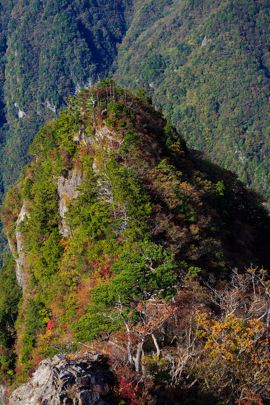 大台ケ原・大蛇嵓の錦(牛石ヶ原~大蛇嵓・蒸籠嵓)_f0155048_20534078.jpg