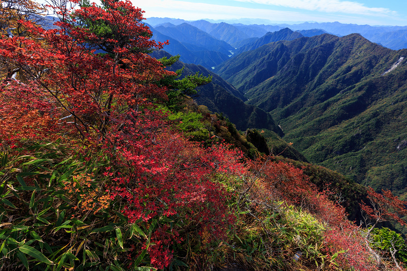 大台ケ原・大蛇嵓の錦(牛石ヶ原~大蛇嵓・蒸籠嵓)_f0155048_20554324.jpg