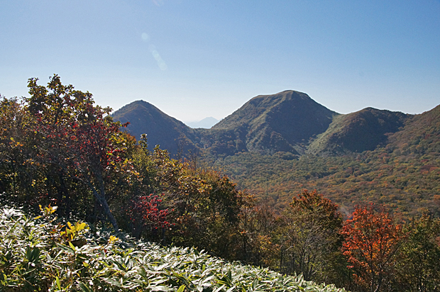 f0214649_17145862.jpg