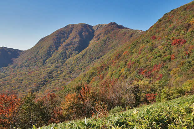 f0214649_17172387.jpg