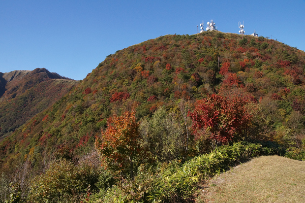 f0214649_171822.jpg