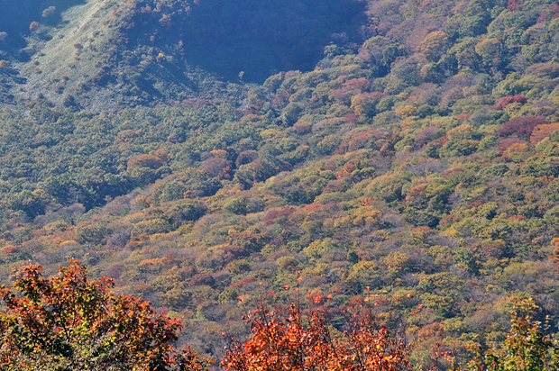 f0214649_17182429.jpg