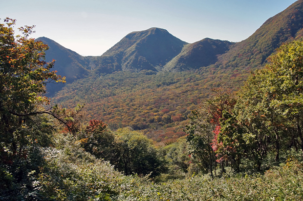 f0214649_17185516.jpg